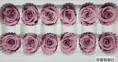 3.5-4cm玫瑰❁素色 27色❁(8/7已更)10