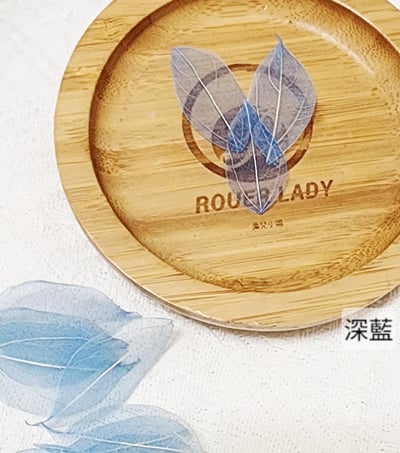 ☆葉脈/金剛葉☆(7/25已更新)13