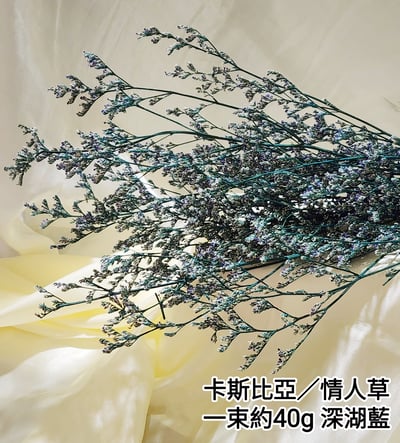 卡斯比亞/情人草7