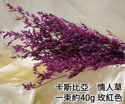 卡斯比亞/情人草9