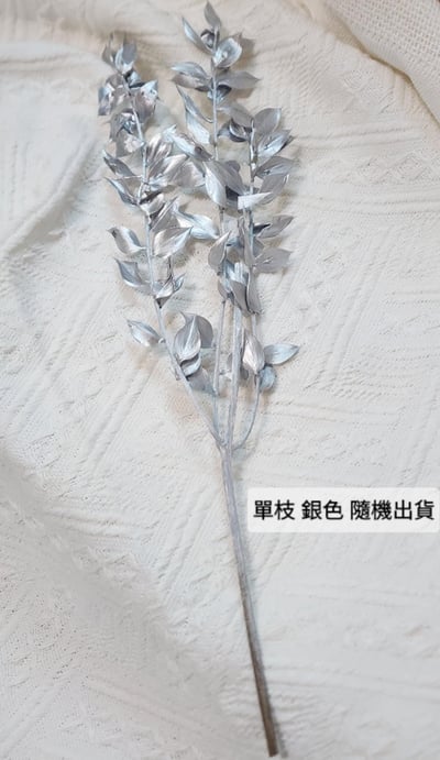 【瑕疵出清特價】富貴葉/樺木葉6