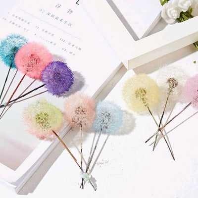 ❀蒲公英❀（7／25已更新）1