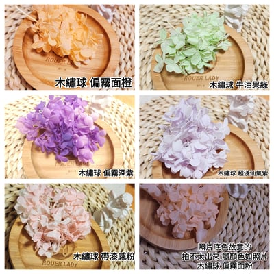 ★木繡球 單色 雙色 限定色★（8／7已更新）9
