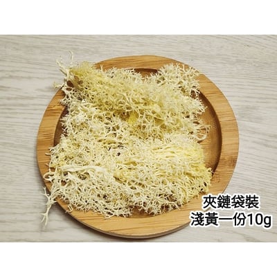 ★馴鹿草/苔蘚/馴鹿苔★（4／21已更新）2