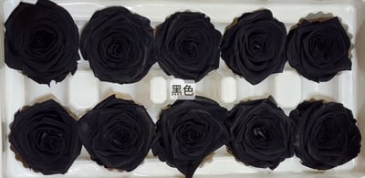 4cm玫瑰❁素色 22色❁(8/7已更)25