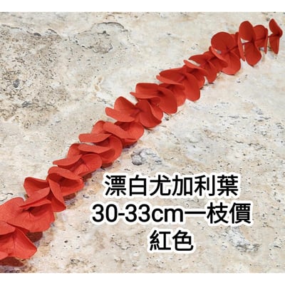 漂白尤加利葉/小圓葉桉/大圓葉桉/蘋果桉3