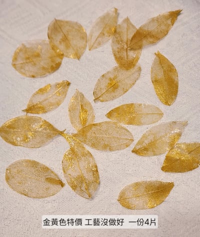 ☆葉脈/金剛葉☆(7/25已更新)12