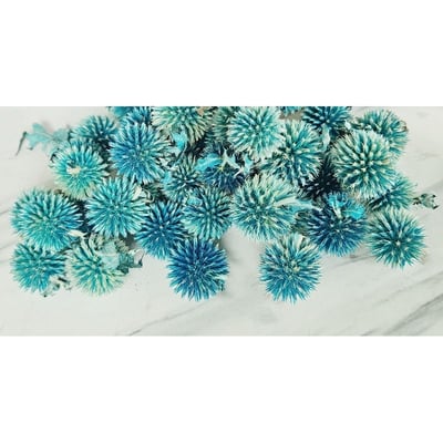 ❄山防風/藍星球❄(7/31已更新)3