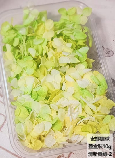 ★安娜繡球 亞特蘭繡球 單色雙色(6/30已更新)22