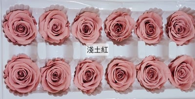 3.5-4cm玫瑰❁素色 27色❁(8/7已更)23