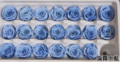 2-3偏3CM玫瑰❁素色 33色❁23