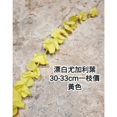 漂白尤加利葉/小圓葉桉/大圓葉桉/蘋果桉7