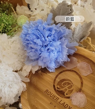 4-5cm康乃馨❁素色/特殊色 7色❁(4/21已更新)7