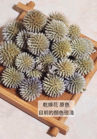 ❄山防風/藍星球❄(7/31已更新)4