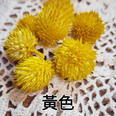 ✴草莓果/刺刺果/和尚頭✴3