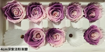 4cm玫瑰❁特殊色 2色❁(7/27已更)3