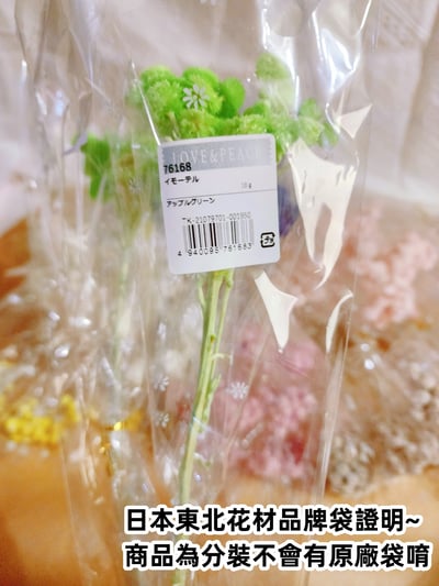 ♫大地農園/東北花材 蠟菊♫2