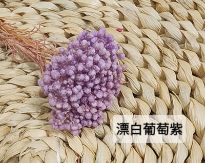 ❁米花 米香 米香花 小米花❁（9／14）15