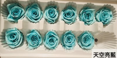 3.5-4cm玫瑰❁素色 27色❁(8/7已更)6