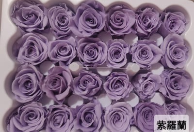 2-2cm多矮小迷你玫瑰❁素色 28色❁（8/7已更新）7