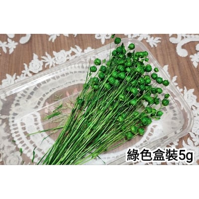 ✭臨花/相思豆/富貴豆/胡麻豆/亞麻果實✭（8／4已更新）6