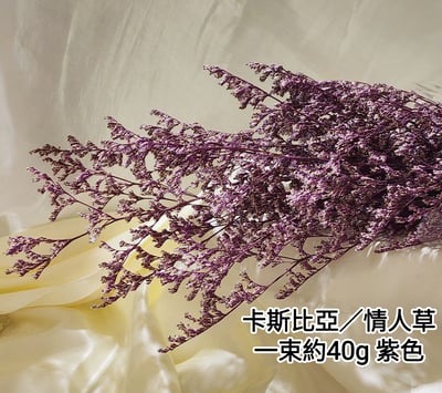 卡斯比亞/情人草6