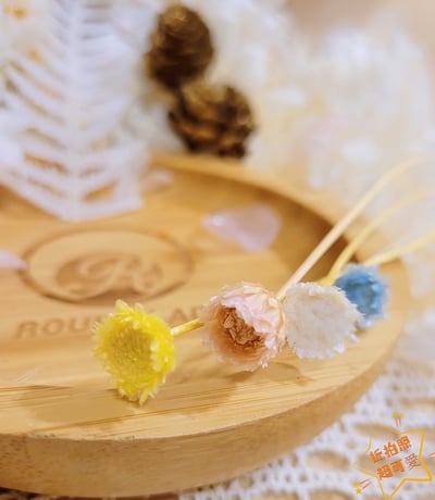 ❁大地農園EARTH MATTERS❁瑪格麗特Margaret3