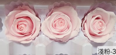 4cm玫瑰❁素色 22色❁(8/7已更)22