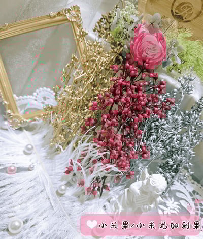 ✿小米果/小米尤加利✿（9／14）1