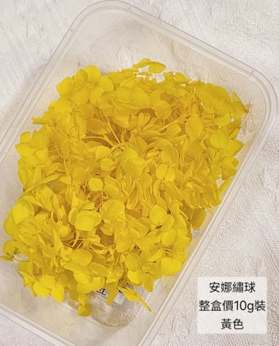 ★安娜繡球 亞特蘭繡球 單色雙色(6/30已更新)15