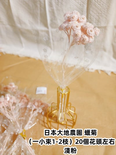 ♫大地農園/東北花材 蠟菊♫10