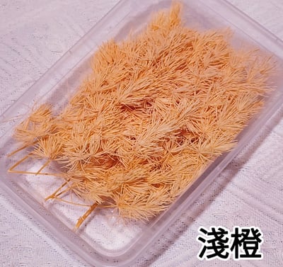 ♫蓬萊松/壽松♫12