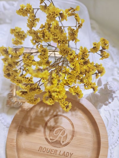 ∮水晶花/水晶草∮2