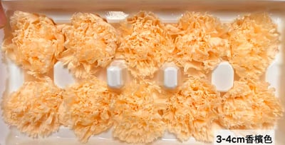 3-4cm康乃馨❁素色/特殊色 3色❁(4/21已更新)4