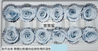 3.5-4cm玫瑰❁素色 27色❁(8/7已更)16