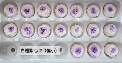 ❤2-3cm奧斯汀/巧克力奧斯汀 17色❤16