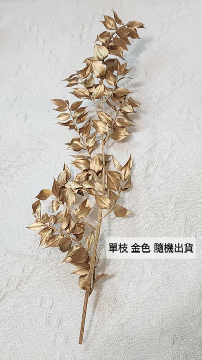 【瑕疵出清特價】富貴葉/樺木葉5