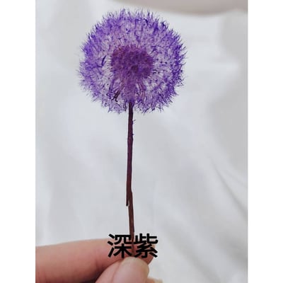 ❀蒲公英❀（7／25已更新）6