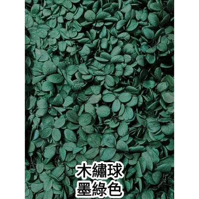 ★木繡球 單色 雙色 限定色★（8／7已更新）6