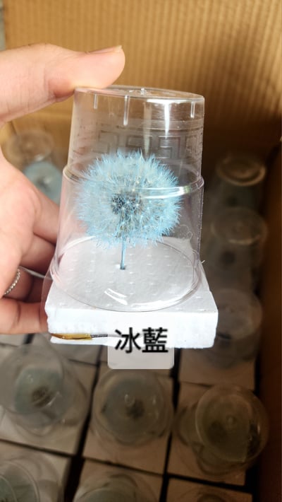 ❀蒲公英❀（7／25已更新）18