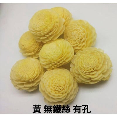 ♫無芯菊索拉花♫6