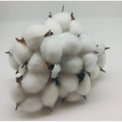 ☆棉花頭帶桿☆5