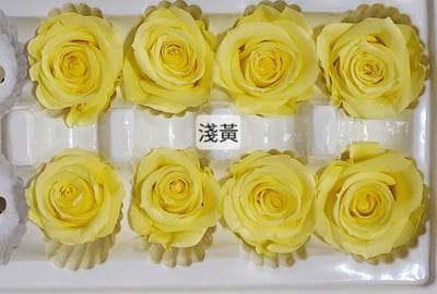 3.5-4cm玫瑰❁素色 27色❁(8/7已更)22