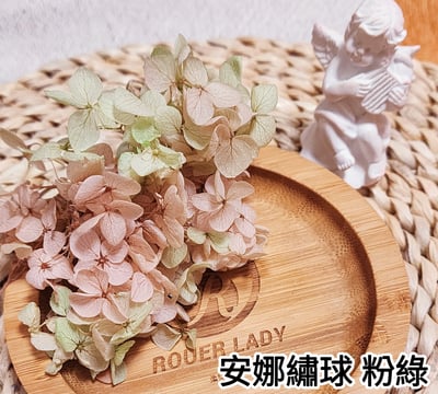 ★安娜繡球 亞特蘭繡球 單色雙色(6/30已更新)4