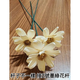 瓜子花/瓜果殼花手工品5