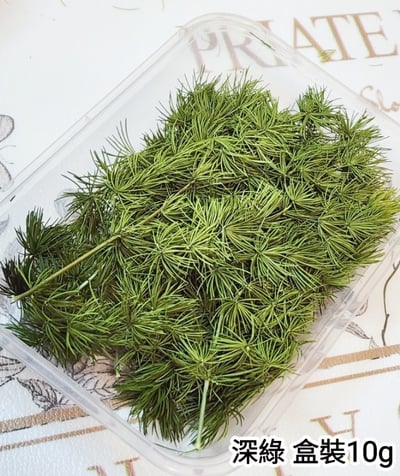 ♫蓬萊松/壽松♫2