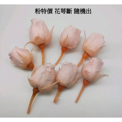 ❁大地農園EARTH MATTERS❁1-2cm花蕾9