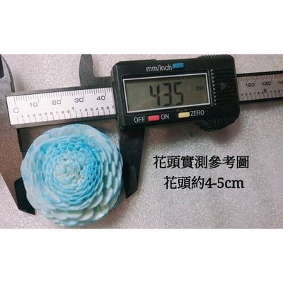 ♫無芯菊索拉花♫2