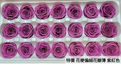 2-3偏3CM玫瑰❁素色 33色❁9