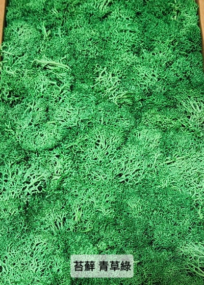 ★馴鹿草/苔蘚/馴鹿苔★（4／21已更新）18